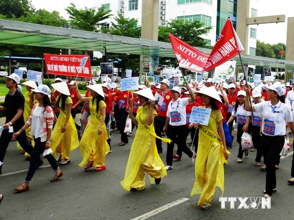 Más de 5 millones de dólares de compensación para empresas extranjeras damnificadas en Vietnam - ảnh 1