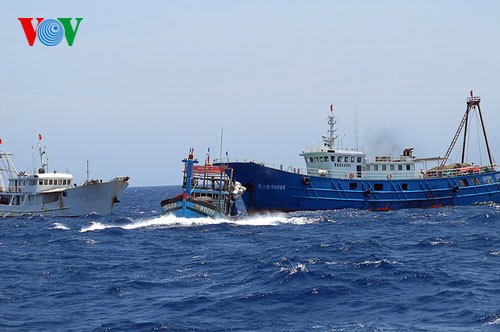 Pescadores vietnamitas mantienen trabajo con valentía en aguas violadas por China - ảnh 13