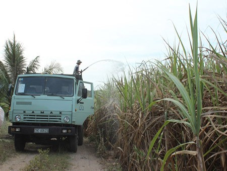 Edificación del nuevo campo en Gia Lai: Cambios basados en ventajas existentes  - ảnh 1