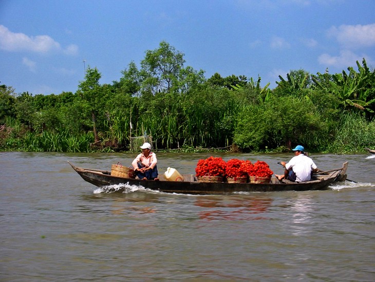 Vietnam por el reforzamiento de cooperación Mekong – Corea del Sur - ảnh 2