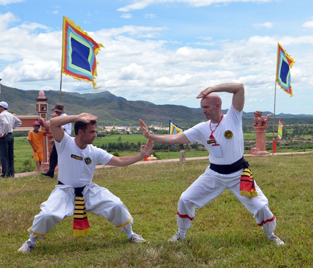 Encuentro de los amantes de las artes marciales de Vietnam - ảnh 4