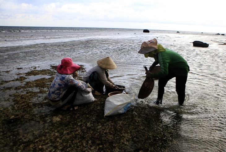 La isla de Ly Son en temporada de aguas bajas - ảnh 1