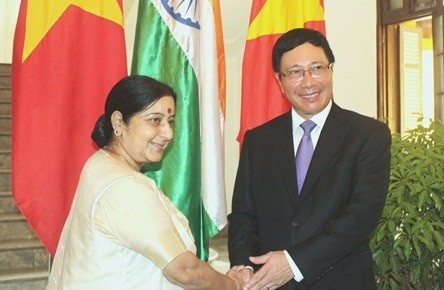 Nuevas perspectivas en las relaciones entre Vietnam e India - ảnh 1