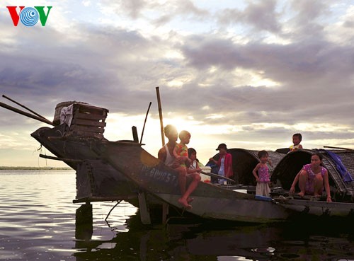 Espacio pacífico del pantano de Quang Loi - ảnh 9