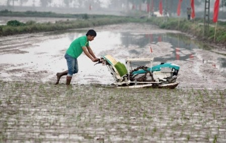 Bac Ninh acelera la mecanización de la producción agrícola - ảnh 2