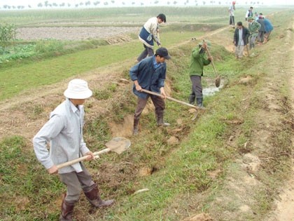 Mecanización, una opción de productividad en agricultura  - ảnh 1