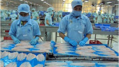 Brasil, el mayor mercado de filetes de pescado congelados de Vietnam - ảnh 1