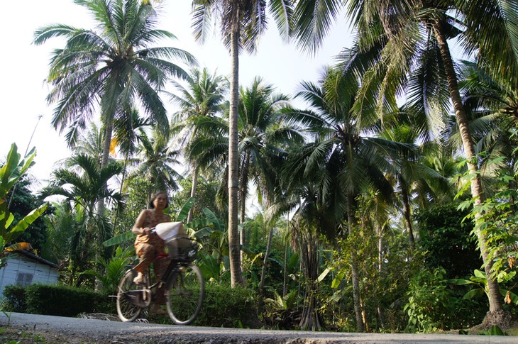 Crean consenso para la modernización rural en Ben Tre - ảnh 3