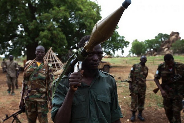 Coinciden Sudan y Sudan del Sur suspender asistencia a rebeldes  - ảnh 1