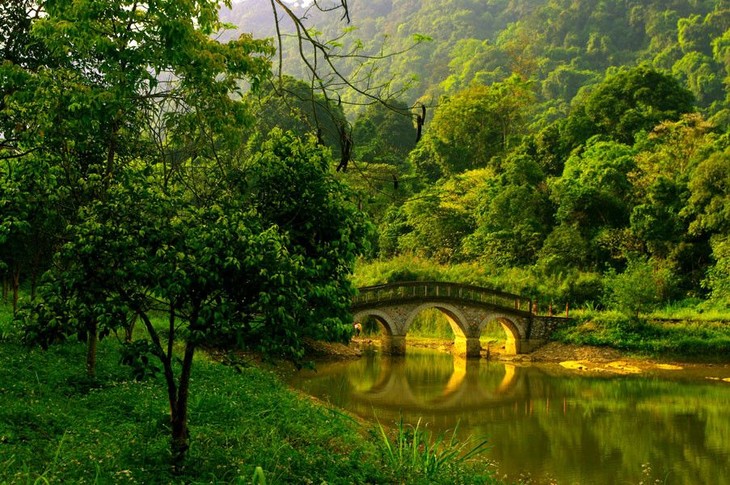 Atractivo trayecto de experimentaciónón en bosque Cuc Phuong  - ảnh 3