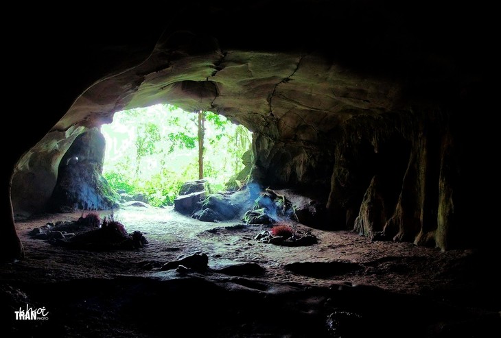 Atractivo trayecto de experimentaciónón en bosque Cuc Phuong  - ảnh 5