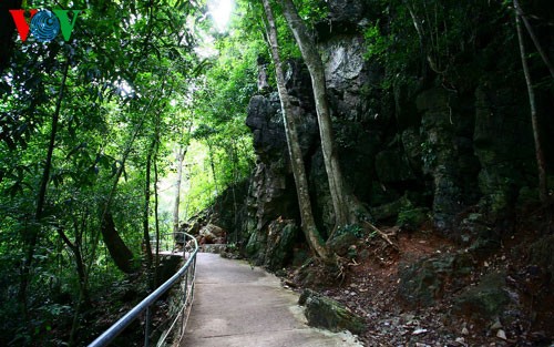 El paisaje espléndido de cueva de Thien Duong (Paraíso) - ảnh 2