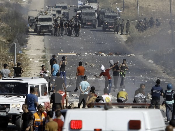 Países europeos concretan resolución para el conflicto palestino-israelí - ảnh 1