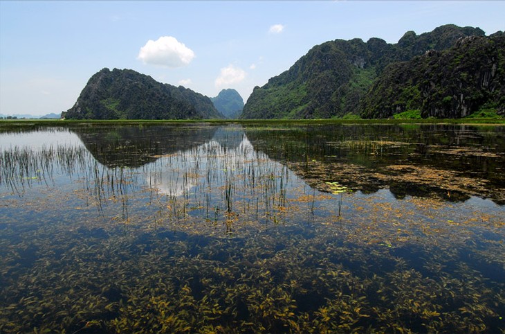 Van Long, área ecoturística con bellezas vírgenes - ảnh 1