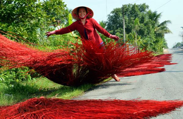 Elaboración de artículos de junco, oficio tradicional de Kim Son  - ảnh 2