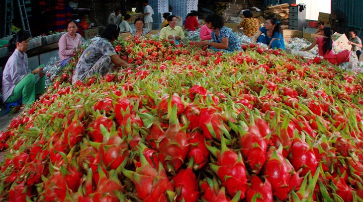 Vietnam y Alemania acuerdan promover cooperación agrícola - ảnh 1