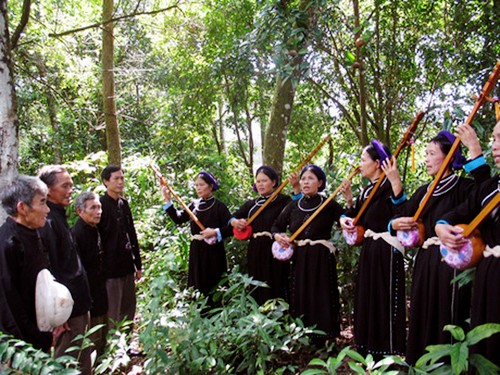 Típica fiesta en la vida de los Tay  - ảnh 1