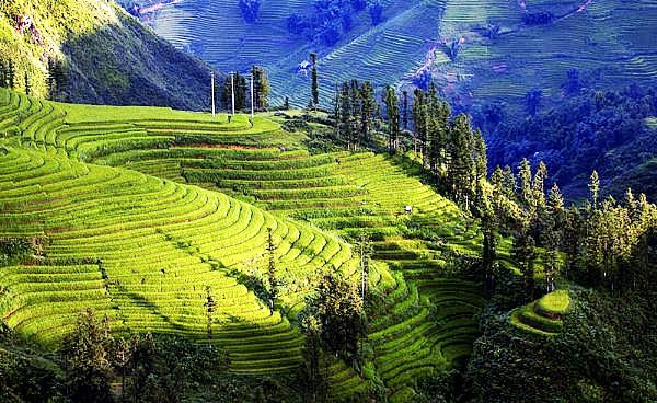 Muong Hoa, poético paraje en Sapa, Lao Cai  - ảnh 1