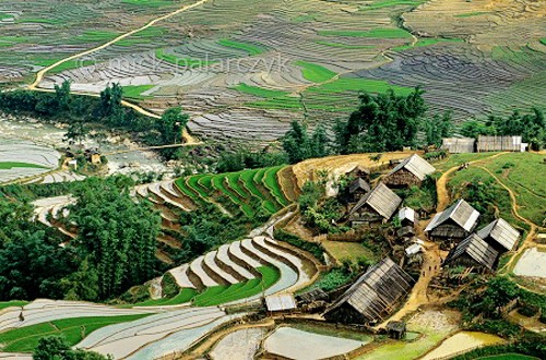 Muong Hoa, poético paraje en Sapa, Lao Cai  - ảnh 3