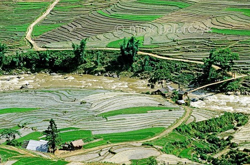 Muong Hoa, poético paraje en Sapa, Lao Cai  - ảnh 2