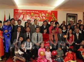 Comunidad vietnamita en México celebra Nuevo Año Lunar 2015 - ảnh 1