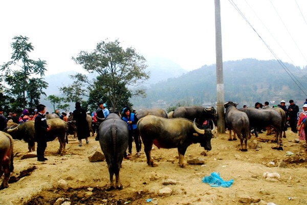 Visitar plaza original de étnicos en Bac Ha - ảnh 3