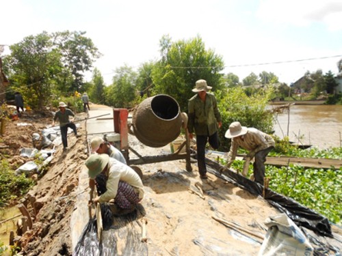 Nueva primavera en el pueblo del nuevo  campo Long An - ảnh 1