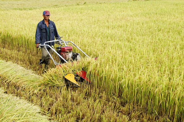 Vietnam insiste en la estabilización macroeconómica para el bienestar del pueblo  - ảnh 1