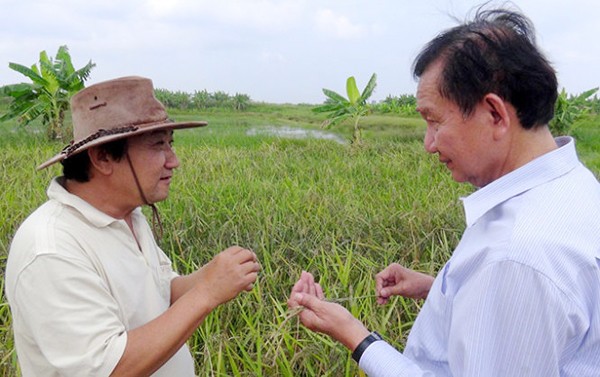 Empresas se comprometen con la modernización rural  - ảnh 1