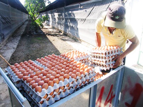 Respaldan a agricultores en el fomento rural en Dong Nai - ảnh 1