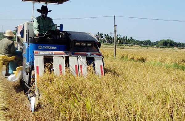 Quang Nam progresa gracias a la modernización campestre - ảnh 2