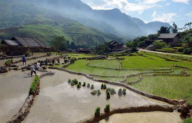 Fotógrafos argentinos abren exposición sobre Vietnam en Buenos Aires  - ảnh 1