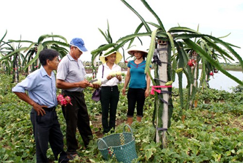 Khanh Thien – primera que cumple con los estándares del nuevo campo de Ninh Binh  - ảnh 2