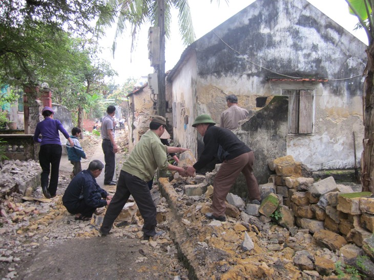 Aportan vietnamitas de avanzada edad a la modernización campestre  - ảnh 2