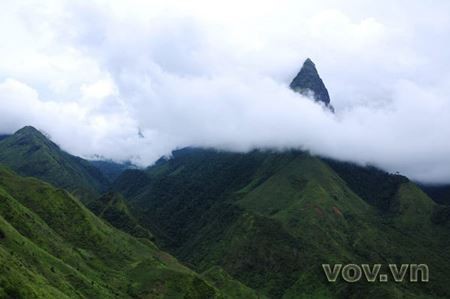 Hoang Lien Son - la cordillera famosa de la provincia Lao Cai - ảnh 3