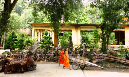 Taller de escultura en pagoda contribuye a mejorar la vida de jóvenes jemeres  - ảnh 1