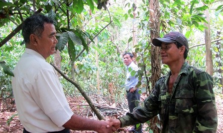 Modelo de cultivo especial en huerto familiar en provincia Binh Phuoc - ảnh 2