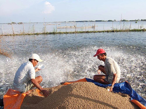 Cooperativas de nuevo estilo creará fuerza motriz para la agricultura nacional - ảnh 3