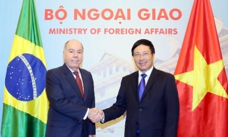 Vietnam busca una cooperación integral con Brasil  - ảnh 1