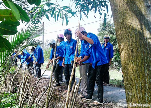 Jóvenes vietnamitas unen manos para modernizar campo  - ảnh 2