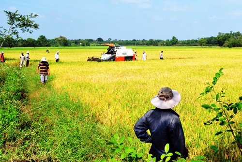 Vietnam consolida mecanismos y recursos para la renovación rural - ảnh 2