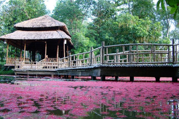 Pagodas de Hue: arquitectura simbólica vietnamita  - ảnh 3