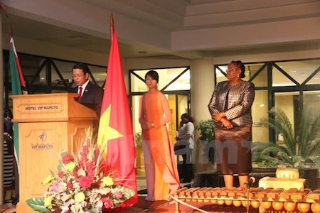 Actos conmemorativos del Día de la Independencia en el extranjero   - ảnh 1