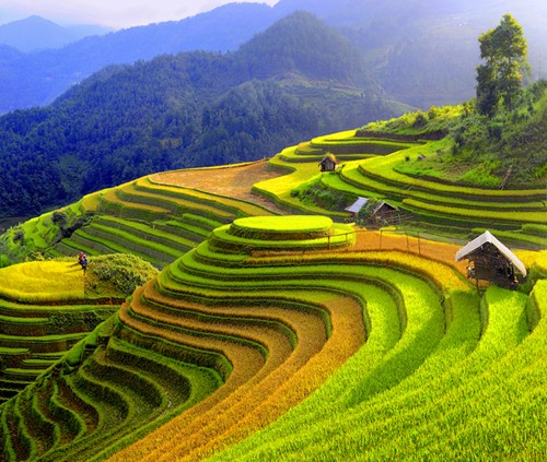 Inaugurada Semana cultural y turística de arrozales en terraza de Mu Cang Chai 2015 - ảnh 1