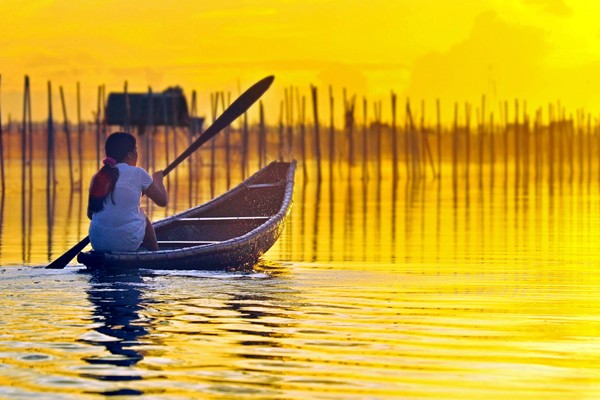 Belleza de lagunas y ciénagas de Hue - ảnh 3