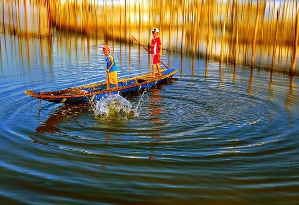 Belleza de lagunas y ciénagas de Hue - ảnh 4