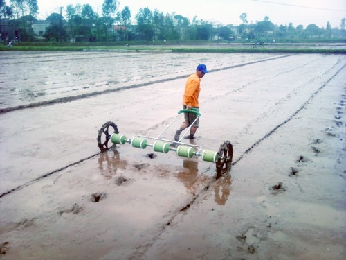 Transparencia y democracia en la modernización rural de Hiep Hoa, Bac Giang - ảnh 2