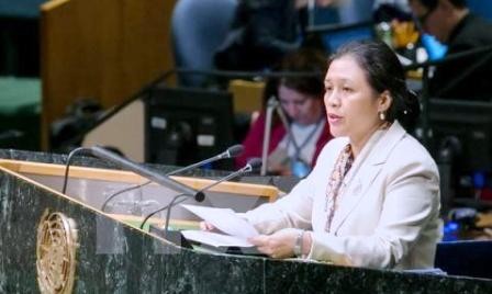 Vietnam llama a la ONU a continuar con sus reformas - ảnh 1