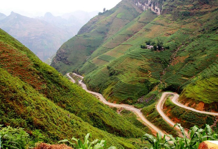 Ha Giang en temporada de flores de alforfón - ảnh 1