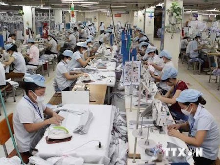 Vietnam – el país más beneficiado por Acuerdo de Asociación Transpacífico  - ảnh 1